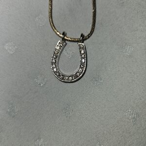 Silver Horseshoe Pendant Necklace